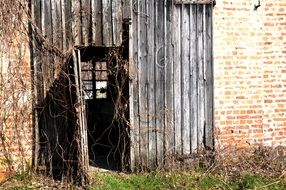 rustic door to an old wooden building