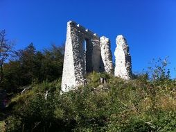 ruin wall in summer field