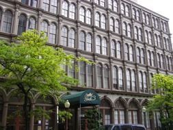 green trees near cast iron buildings