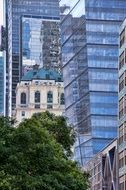 glass skyscrapers of manhattan