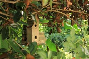 Birdhouse in the nature