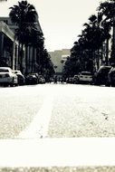 city street in black and white background
