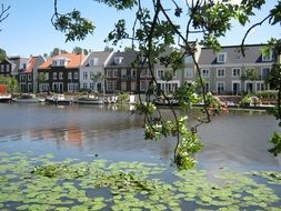 summer houses water view