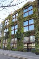 vertical garden on the facade of the building