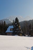 Snow on Tatry mountains