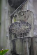 wooden fence made of logs