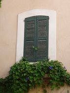 green window shutters of an old house in saint tropez
