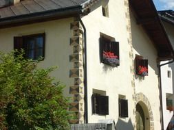 house with flowers on a windowsill in Switzerland