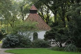 small house among the trees