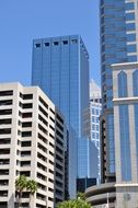 skyscrapers in the center of the american city