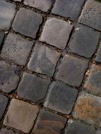 gray paving stones in the street close-up