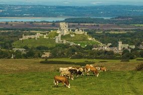 corfe castle monument