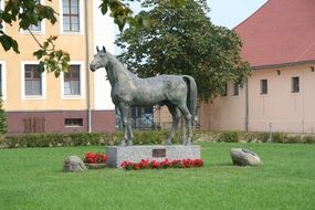 monument of the stallion on the lawn in Neustadt