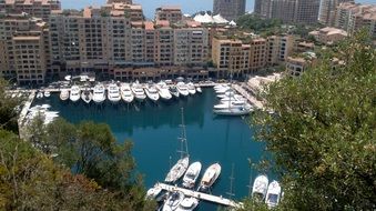 monaco city port