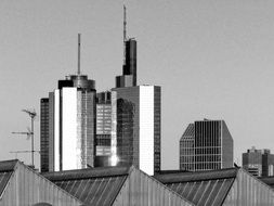 mirror image of skyscraper roofs