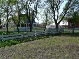 vegetable garden in the village of Mennonites