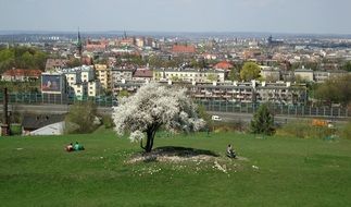 Panorama of krakow City Poland