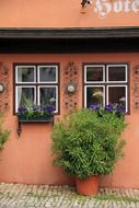 old building with potted plant at facade and flower boxes at windows