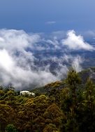 panoramic views of the hills in green trees