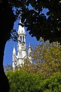 peter and paul church among the colorful plants in San Francisco, California