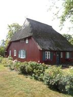 dark maroon building in the countryside