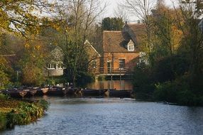 landscape of the cottage and river in a forest