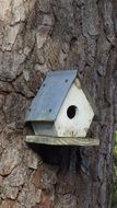 white birdhouse on a tree trunk