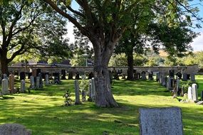 cemetery gravestones and green grass scene