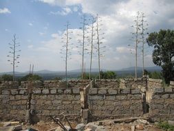 construction site in Kenya