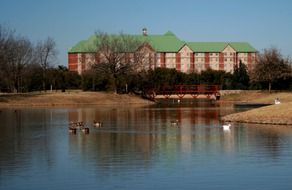 ducks on pond in view of old colourful building