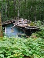 landscape of old damaged house in the forest