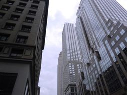 View of the skyscrapers of the city