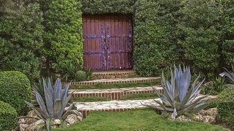 wooden gate among green plants