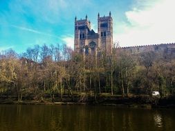 cathedral behind green trees near the river