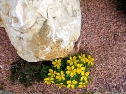 more unusual stone