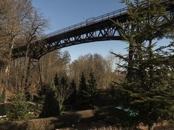 steel bridge in the forest