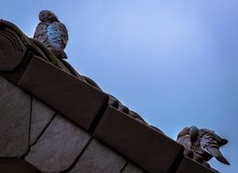 doves on the pediment