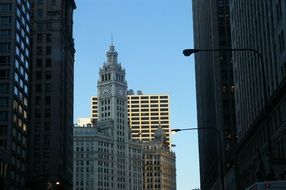 cityscape of chicago downtown