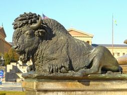 buffalo statue in philadelphia