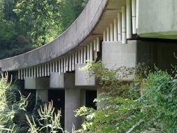 low angle view of concrete bridge at summer forest