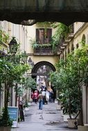historically alley in old town in barcelona