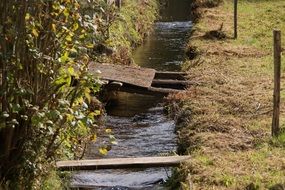 old staircase in the black forest