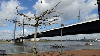 Rhine Bridge over the river