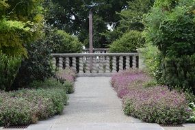 baluster in the arboretum in summer