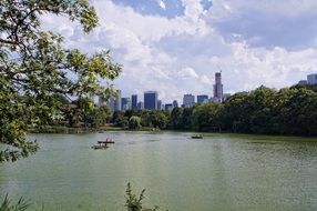 landscape of the central park in NYC