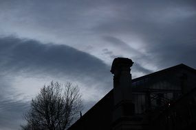 trees roof house evening time