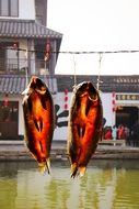 dried snout on a rope in Anchang Ancient Town