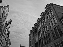 old black and white picture of city architecture