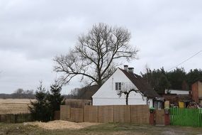 village cottage in the field