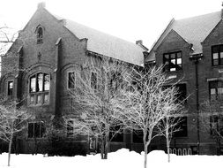 snow covered trees near the school